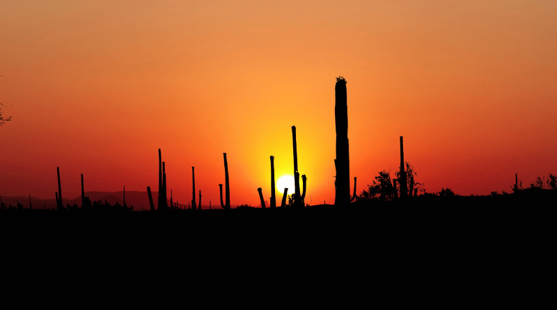 L’implantation progressive de la Chine en Amérique latine - Mister Prépa