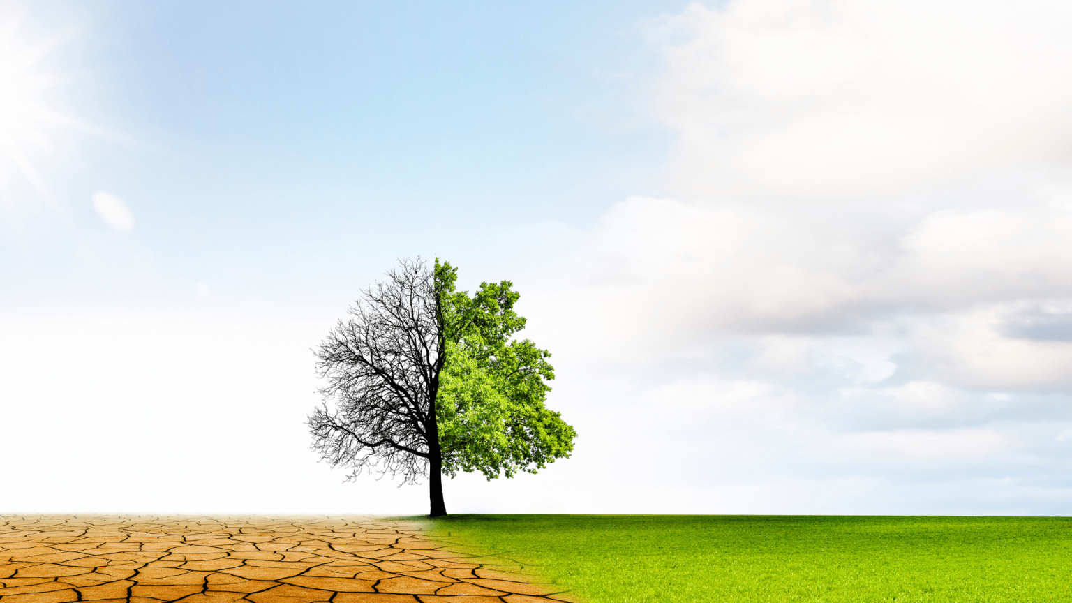 croissance verte