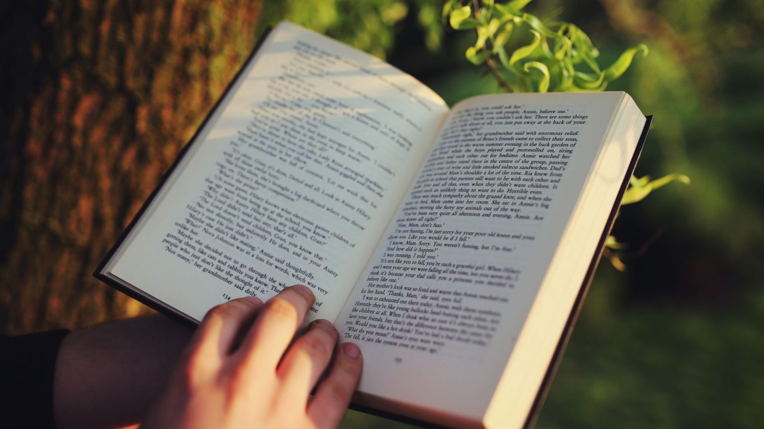 lieu lecture été