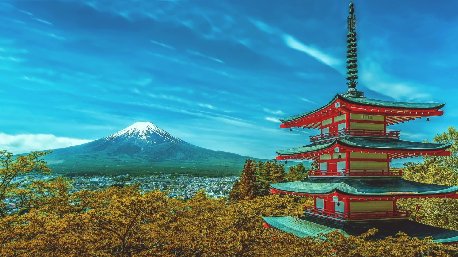 Japon démographie