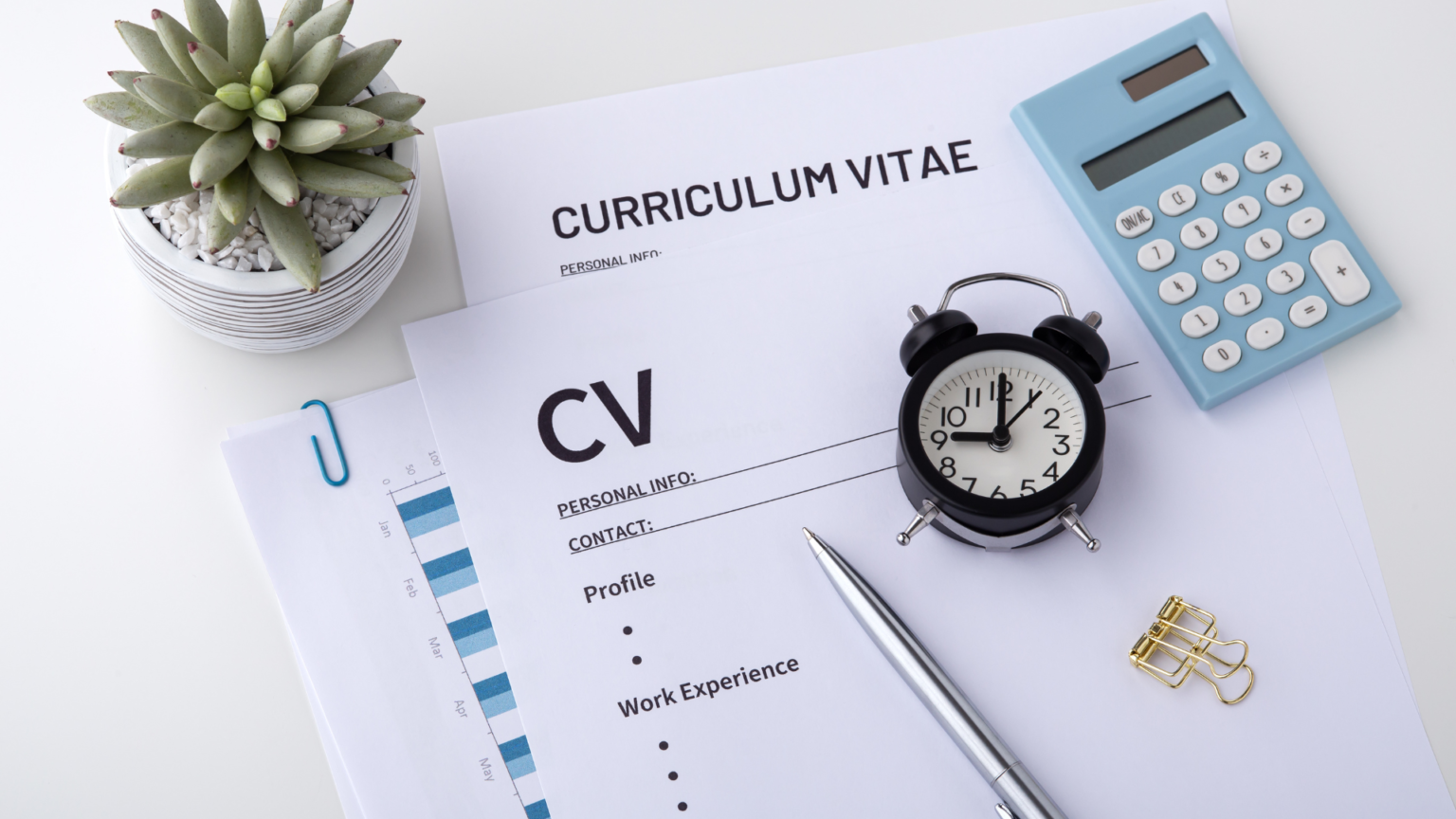 CV PROJECTIF SKEMA 20