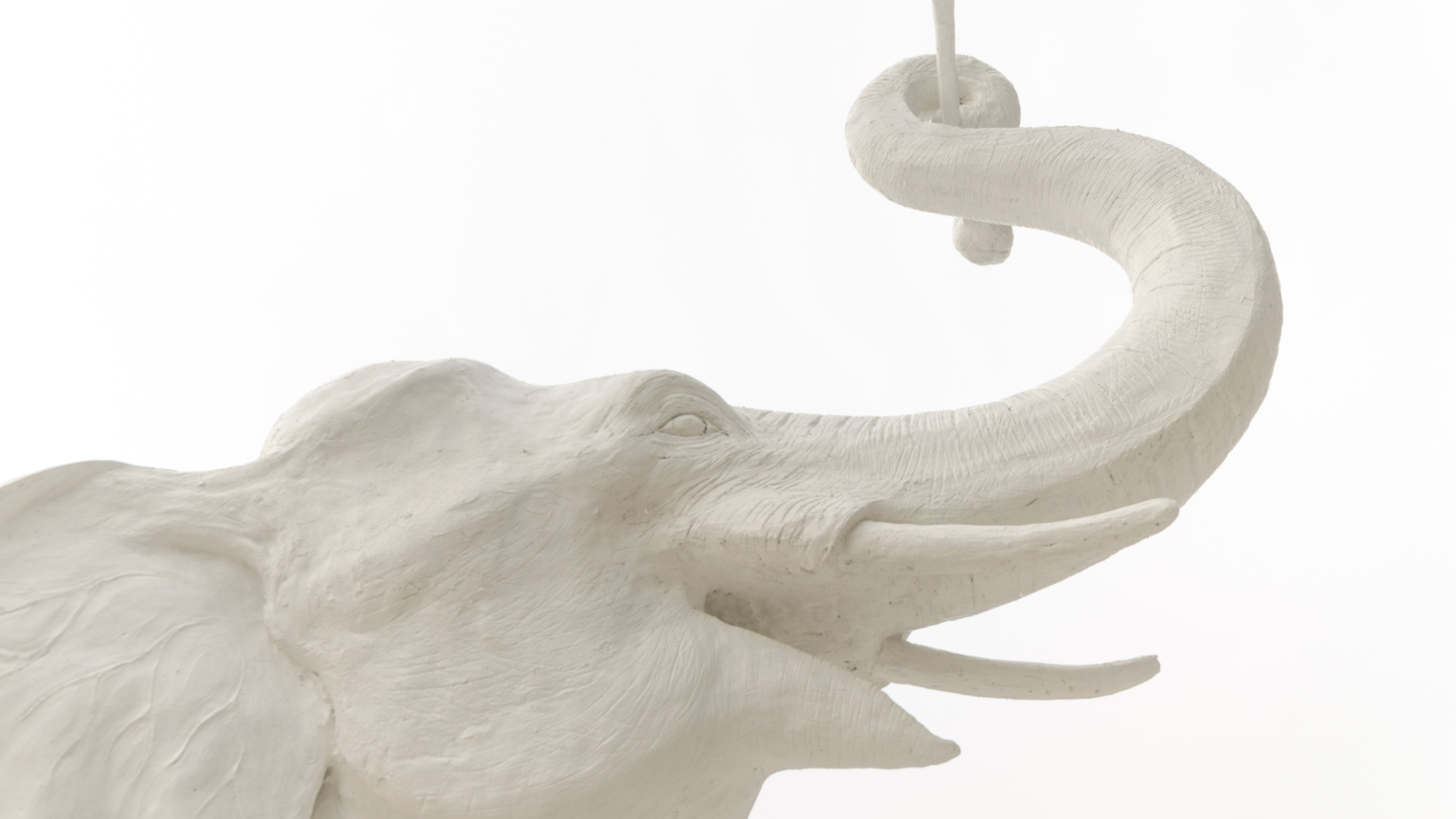 courbe de l'éléphant