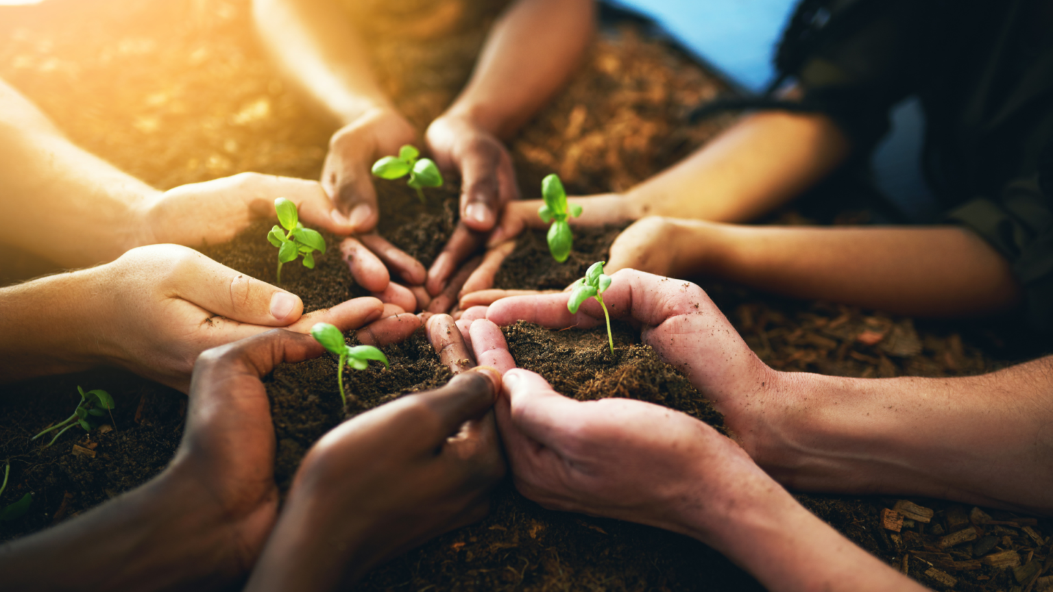 strategie developpement durable esi business school