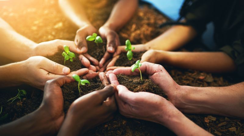 strategie developpement durable esi business school