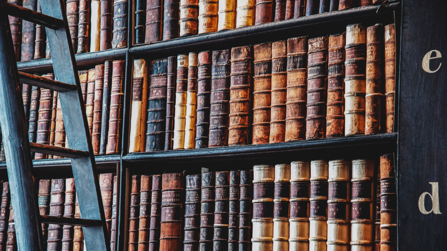 5 livres incontournables d'auteurs anglo-saxons