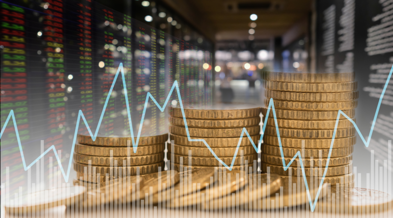 ESH FACTEURS INVESTISSEMENT