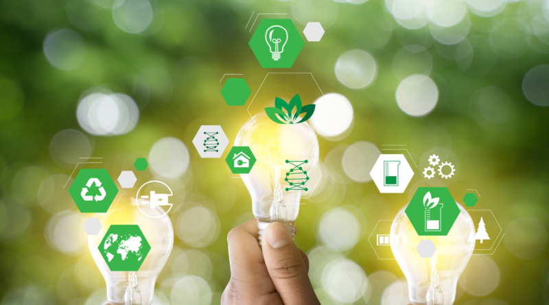 ENTREPRISE B CORP ESPAGNE AMERIQUE LATINE