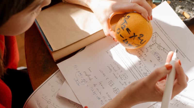 MATHS APPLI EDHEC 2024 BONNE COPIE 19