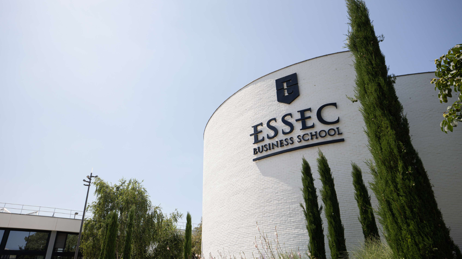 ESSEC BS : Découvrez l'école