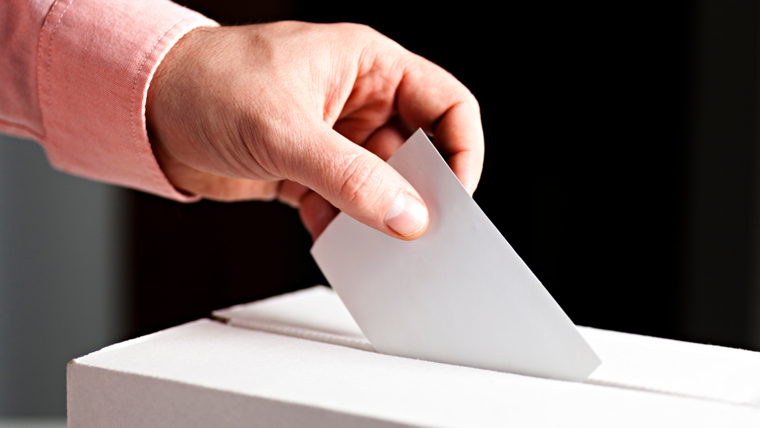 organiser-elections-universitaires