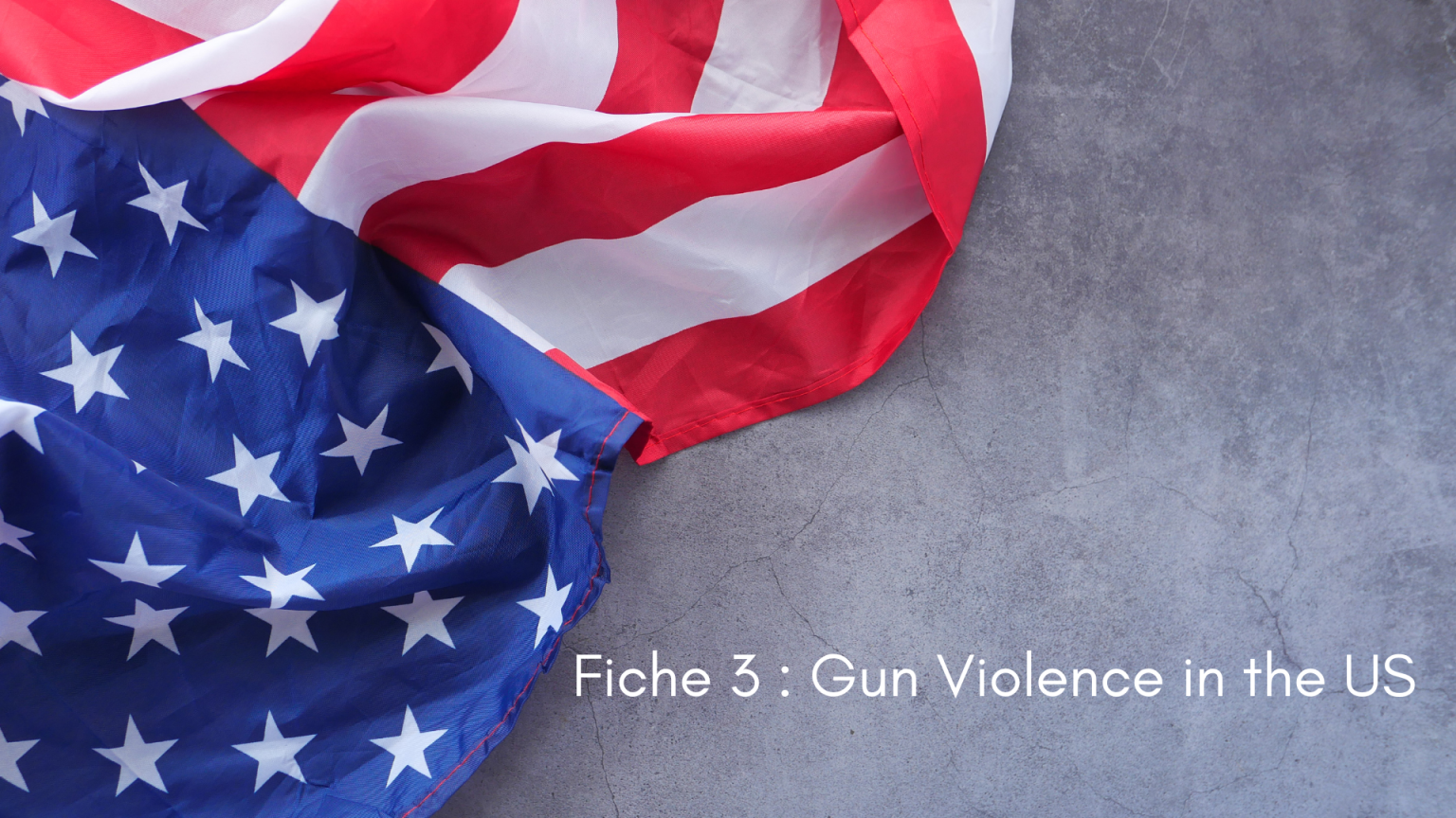 fiche-gun-violence-anglais-us-armes