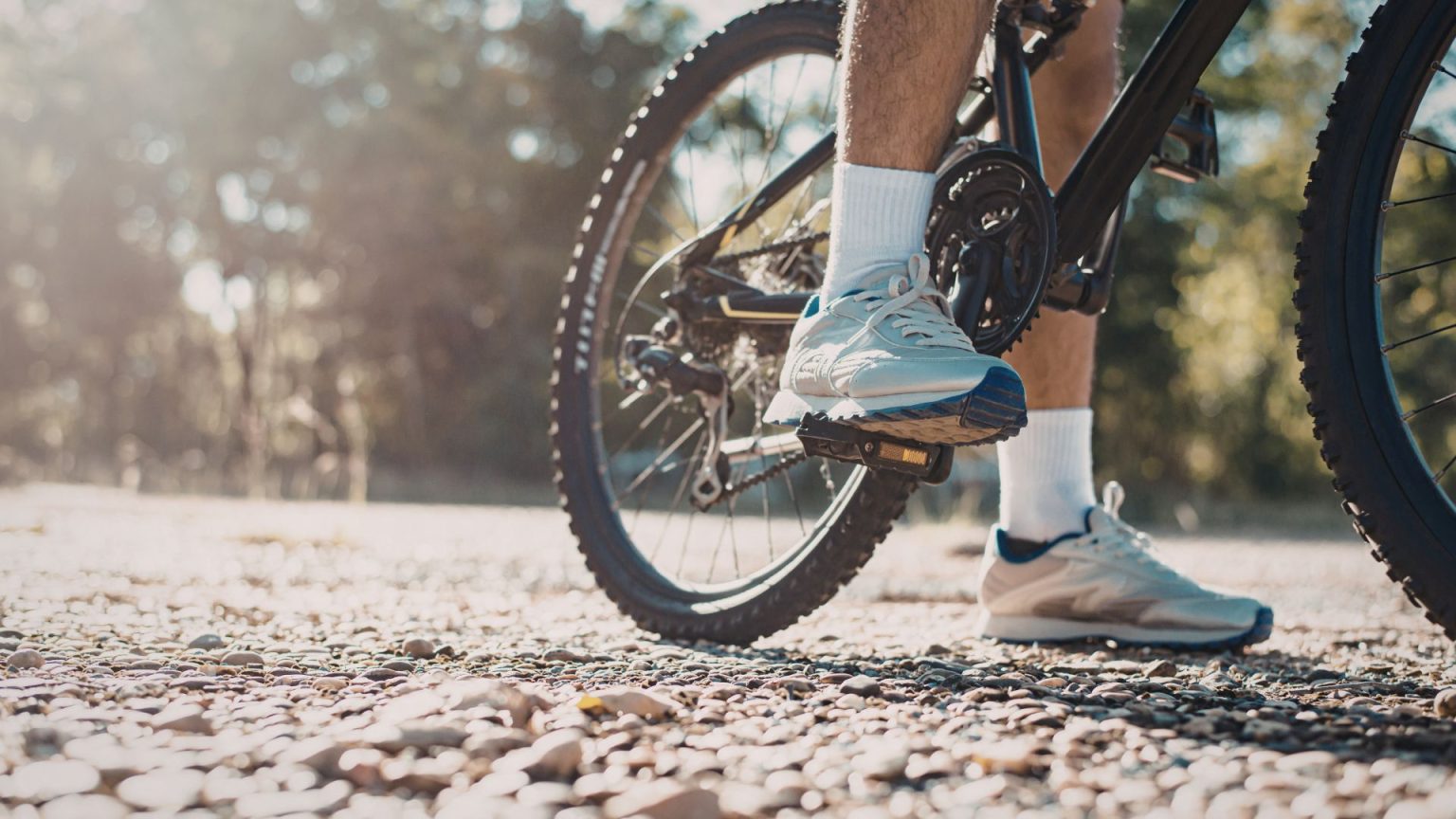 vtt electrique occasion