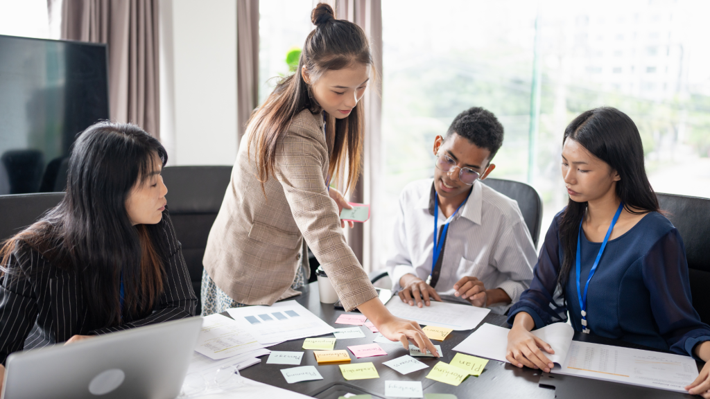 bachelor management base solide evoluer vite